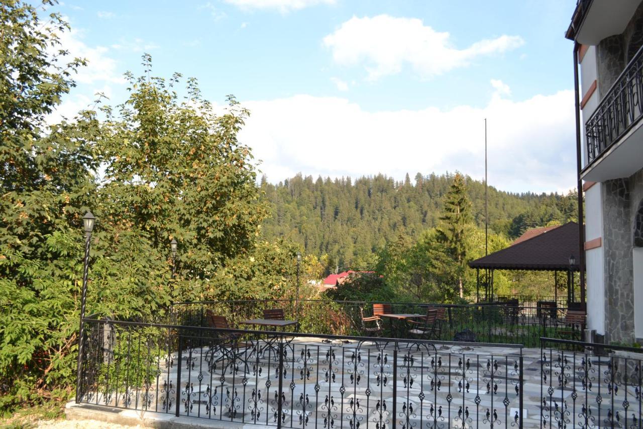 Castle Gate Hotel Bran  Luaran gambar